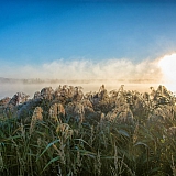 День в лесу! 9