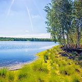 День в лесу! 25