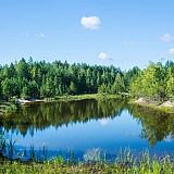 День в лесу! 29