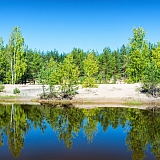 День в лесу! 28