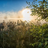 День в лесу! 11