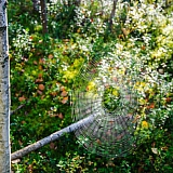 День в лесу! 22