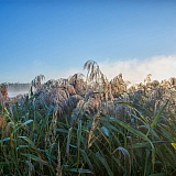 День в лесу! 10