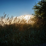 День в лесу! 14