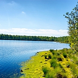 День в лесу! 26