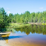 День в лесу! 27