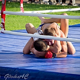 День г.Бор и День строителя 248