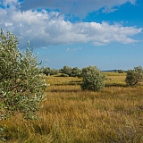 За пределами края((( 18