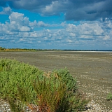 За пределами края((( 24