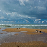 За пределами края((( 16