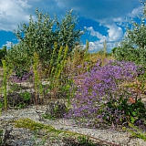 За пределами края((( 25