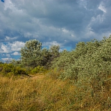 За пределами края((( 17