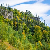 За пределами края((( 49