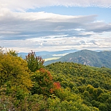 За пределами края((( 41