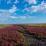 За пределами края((( 19