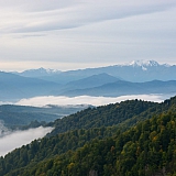 За пределами края((( 70