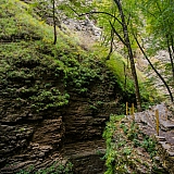 За пределами края((( 82