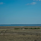 За пределами края((( 23