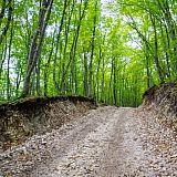 За пределами края((( 29