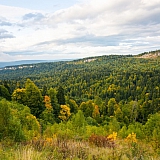 За пределами края((( 59