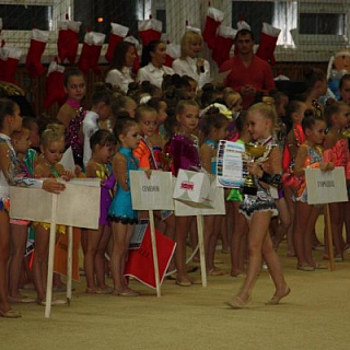 Турнир по художественной гимнастике “Зимние звездочки” 2