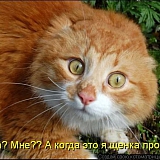 Весёлые картинки 2