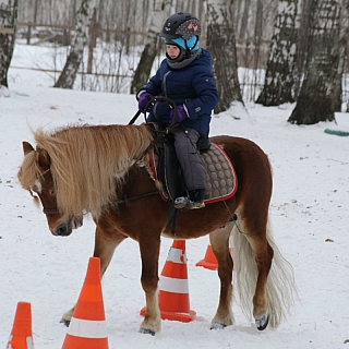 Первенство Нижегородской области по выездке 3