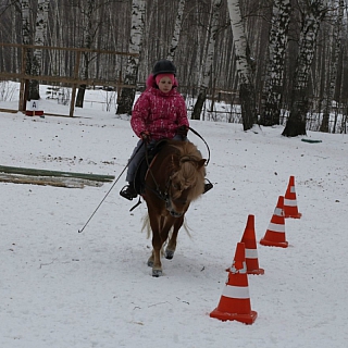 Первенство Нижегородской области по выездке 9