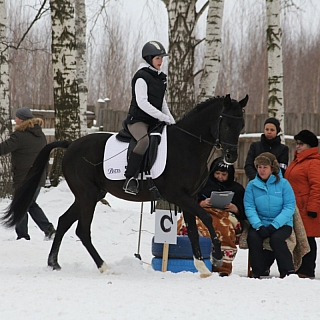 Первенство Нижегородской области по выездке 11