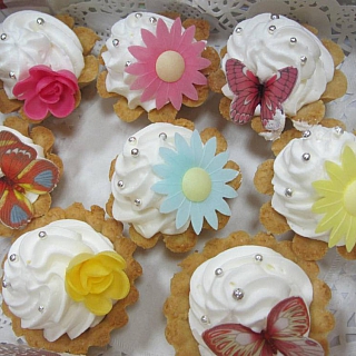 Список участниц городского конкурса красоты «Мисс Бор – 2014» 19