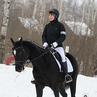 Первенство Нижегородской области по выездке 5