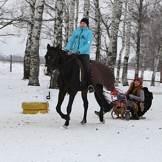 Первенство Нижегородской области по выездке 1
