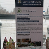 День инвестора в г.Бор 16