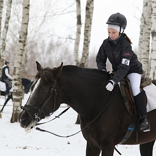 Первенство Нижегородской области по выездке 12