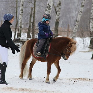 Первенство Нижегородской области по выездке 2