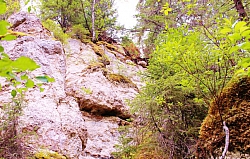 александра бурова