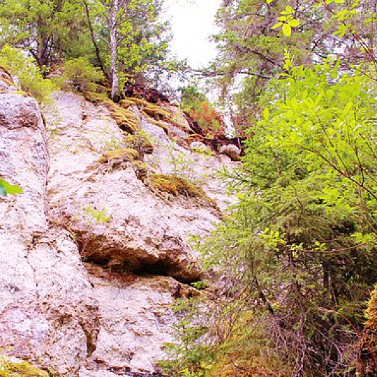 александра бурова