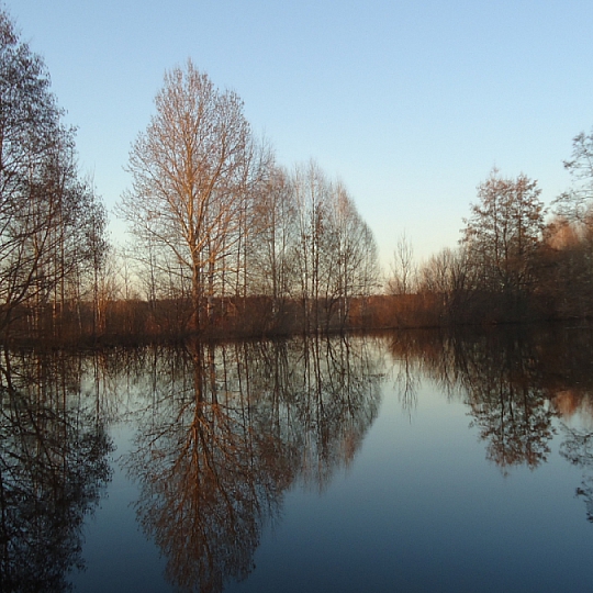 Екатерина Г