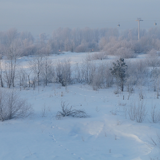 Динара Шитова