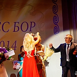 Мисс Бор 2014 115