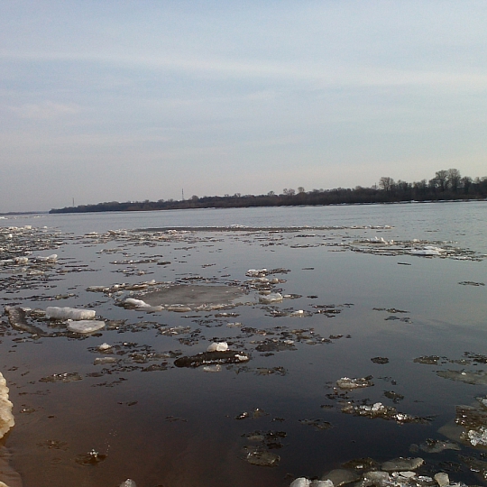 Ольга Волкова