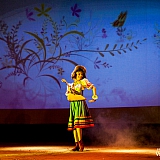 Мисс Бор 2014 51