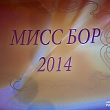 Мисс Бор 2014 131