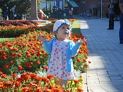 Александр Точилов