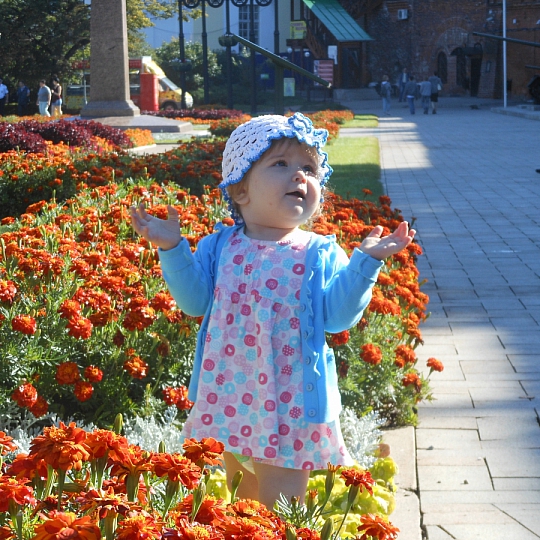 Александр Точилов