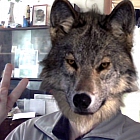 Павел Волков