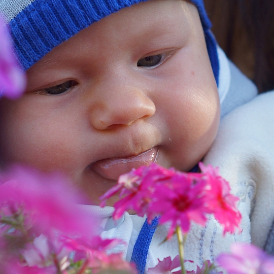 Катерина Лезова