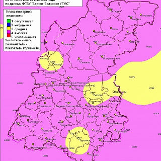 4-й класс пожароопасности лесов установился на всей территории Нижегородской области 1