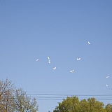 День Победы! 106