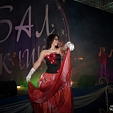 Городской бал выпускников 282